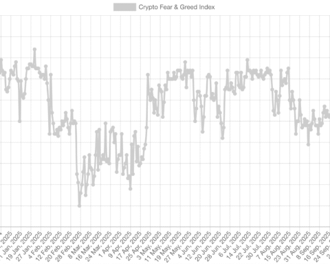 Le marché des cryptomonnaies plongent dans une « peur extrême » après que le bitcoin échoue à maintenir le seuil de 100 000 dollars