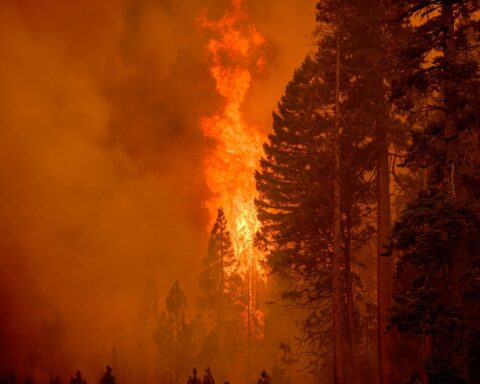 Le monde sur le point d'échouer à atteindre l'objectif climatique de Paris pour 2025