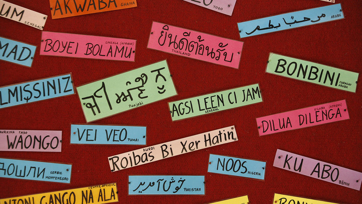 « Le regret des enfants d'immigrés en France : l'absence de transmission des langues maternelles »