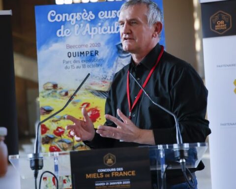 Les apiculteurs français en détresse face aux ravages des frelons asiatiques