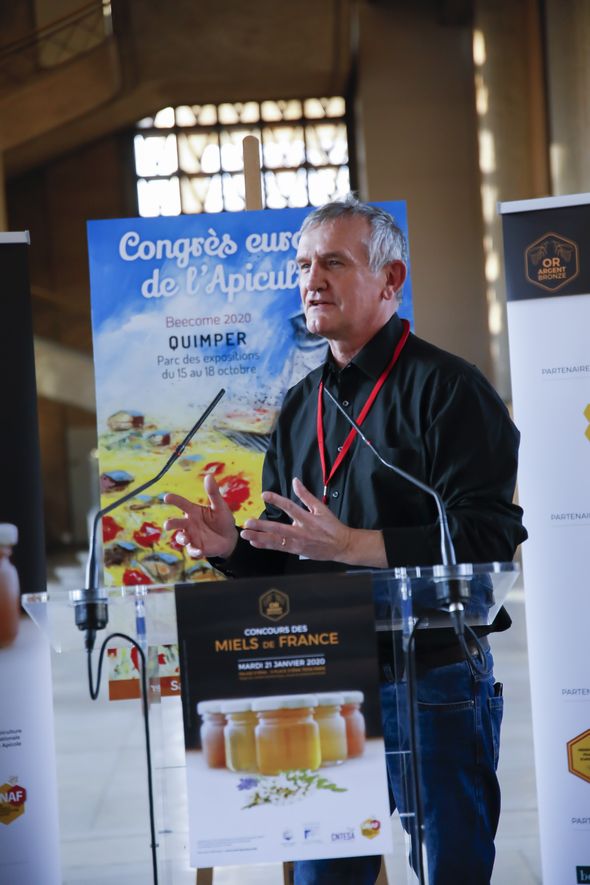 Les apiculteurs français en détresse face aux ravages des frelons asiatiques