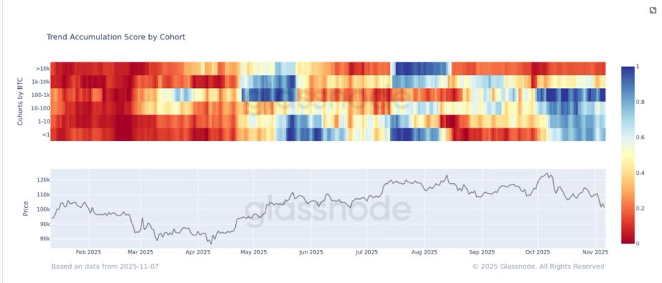 Les baleines du bitcoin dominent le marché face aux petits investisseurs, selon Glassnode