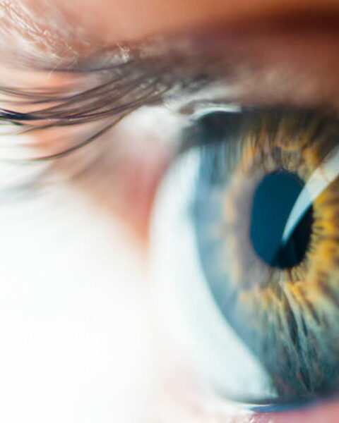 Les corps flottants devant les yeux : quand s'inquiéter de leur apparition ?