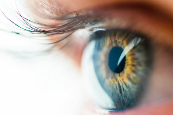 Les corps flottants devant les yeux : quand s'inquiéter de leur apparition ?