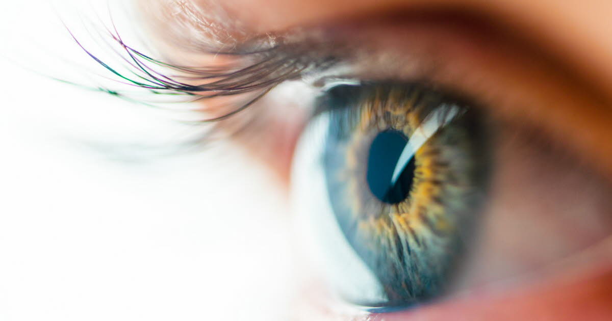 Les corps flottants devant les yeux : quand s'inquiéter de leur apparition ?