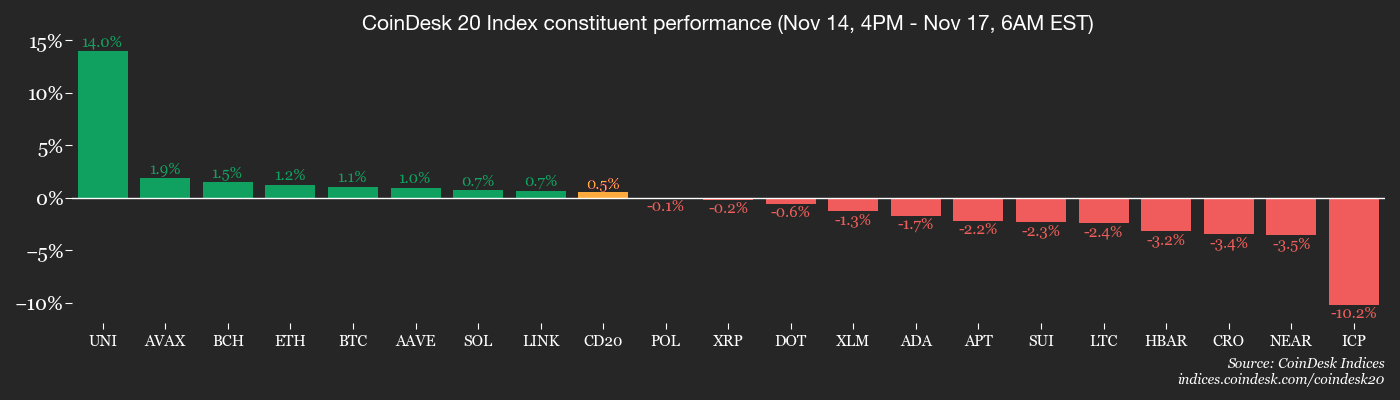 L'espoir persiste pour les bulls : état des lieux du marché des cryptomonnaies en Amériques