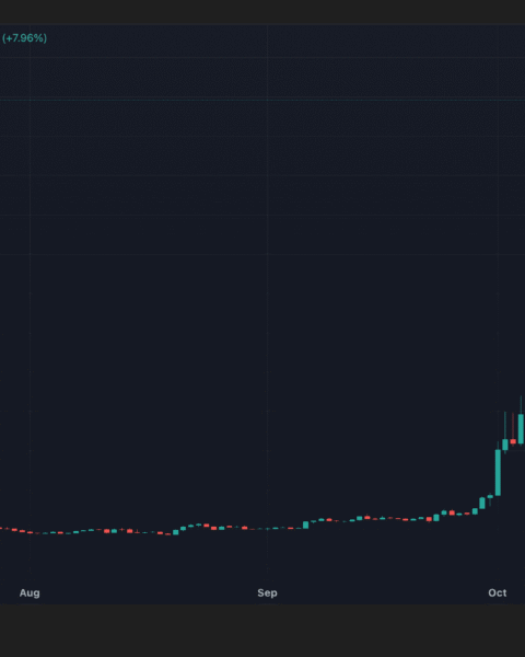 L'essor des cryptomonnaies anti-surveillance : la résurgence de Zcash et Monero en 2025
