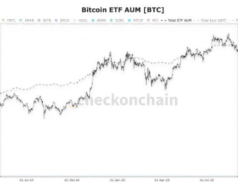 L'offre de bitcoins des détenteurs à court terme atteint son plus haut niveau depuis l'effondrement de FTX