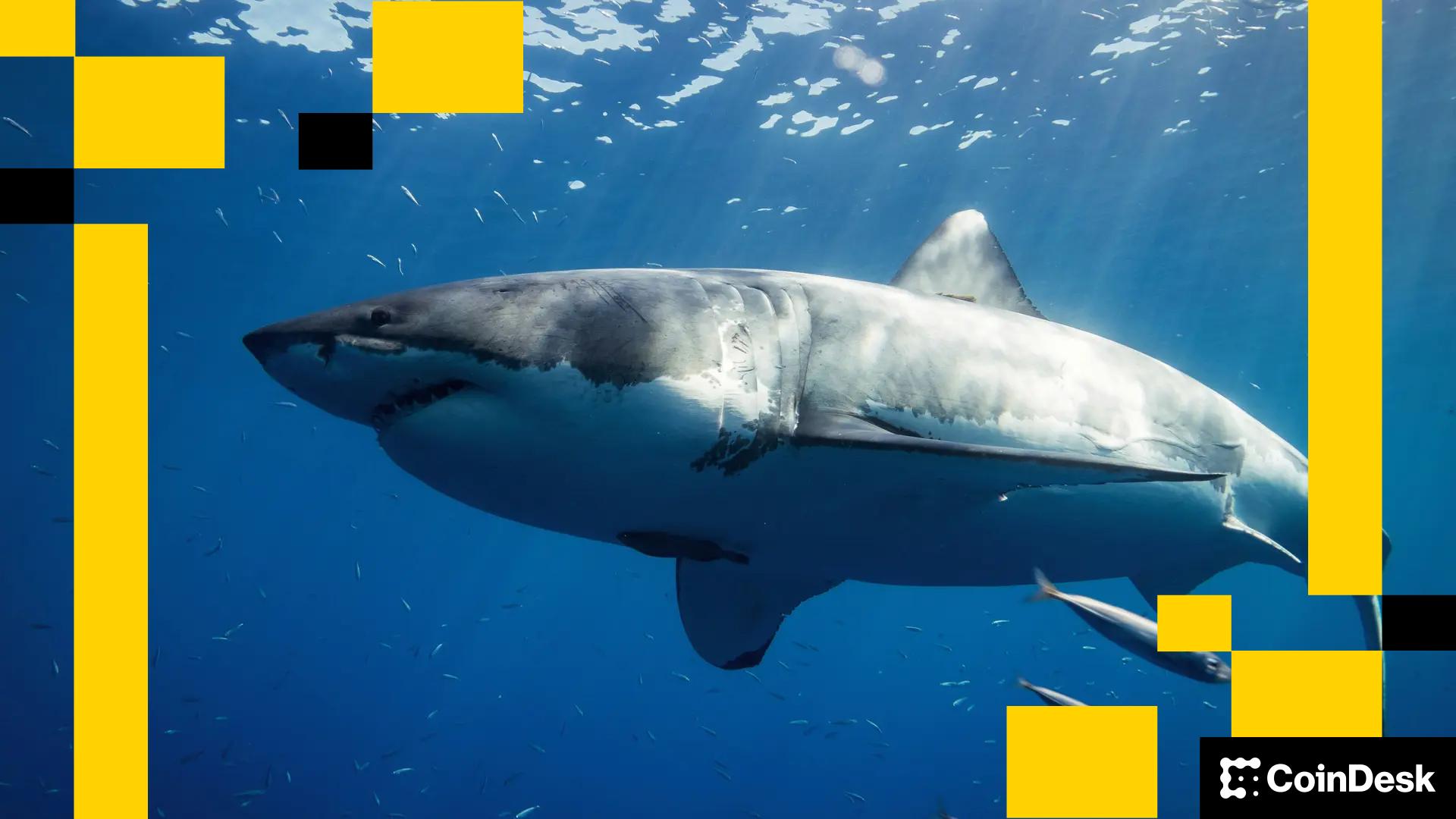 L'upgrade Fusaka d'Ethereum en décembre vise à accélérer son adoption institutionnelle