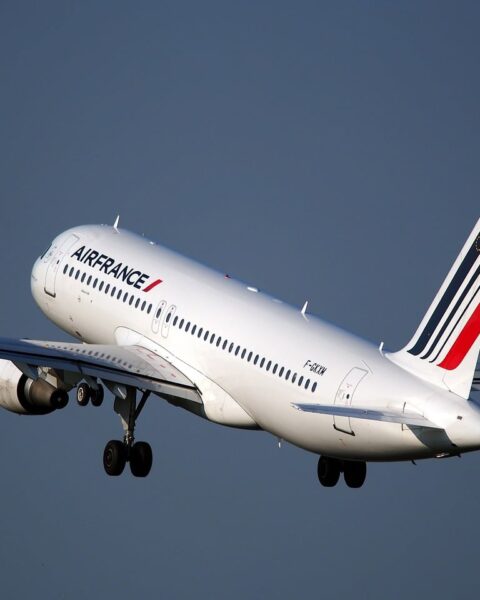 Patrons, partez : nous nous en sortirons très bien sans vous.