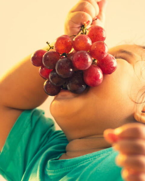 Quand est-il préférable de consommer des fruits : au début ou à la fin des repas ?