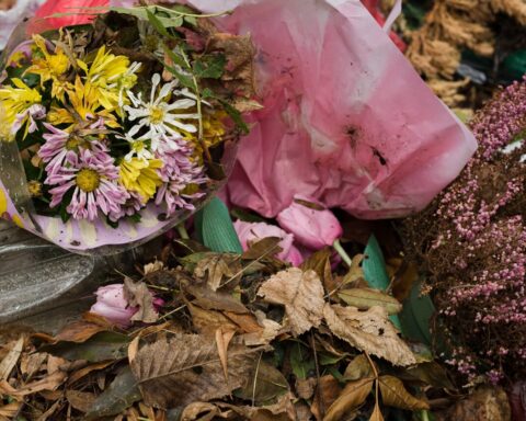 Récupérer des fleurs jetées dans les poubelles des cimetières : une pratique légale ?