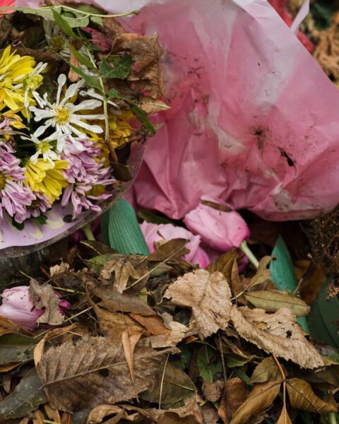Récupérer des fleurs jetées dans les poubelles des cimetières : une pratique légale ?