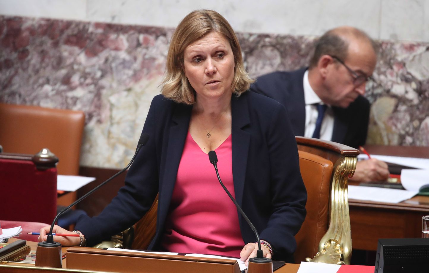Un député interpelle Sandrine Rousseau avec une remarque sexiste lors des débats à l’Assemblée nationale