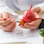 Un nouveau traitement efficace proposé pour les patients en récidive de cancer de la prostate