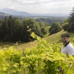 Une association de restaurateurs secourt les vignerons de Haute-Savoie face aux aléas climatiques
