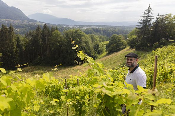Une association de restaurateurs secourt les vignerons de Haute-Savoie face aux aléas climatiques