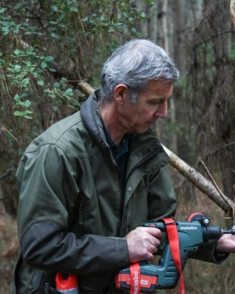 Urgence dans les Landes face à la menace du nématode des pins détecté à Seignosse