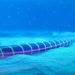 Londres alerte sur une menace croissante contre ses infrastructures sous-marines