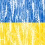 L’Ukraine et la Pologne renforcent la sécurité alimentaire européenne grâce à une coopération agricole stratégique