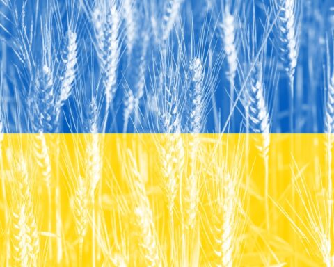 L’Ukraine et la Pologne renforcent la sécurité alimentaire européenne grâce à une coopération agricole stratégique