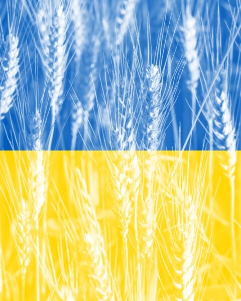 L’Ukraine et la Pologne renforcent la sécurité alimentaire européenne grâce à une coopération agricole stratégique