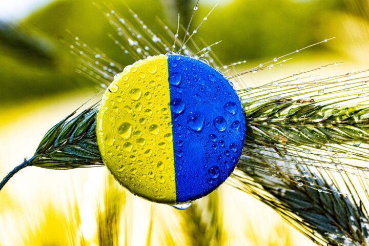 Le potentiel agricole de l’Ukraine renforce la stabilité économique et politique de l’Europe