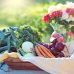 Alimentation quotidienne : analyse approfondie de l'exposition aux pesticides