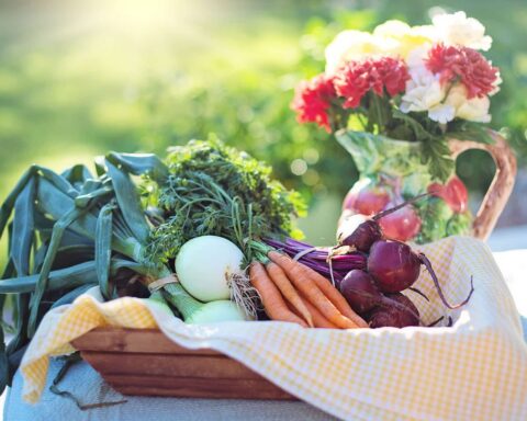 Alimentation quotidienne : analyse approfondie de l'exposition aux pesticides