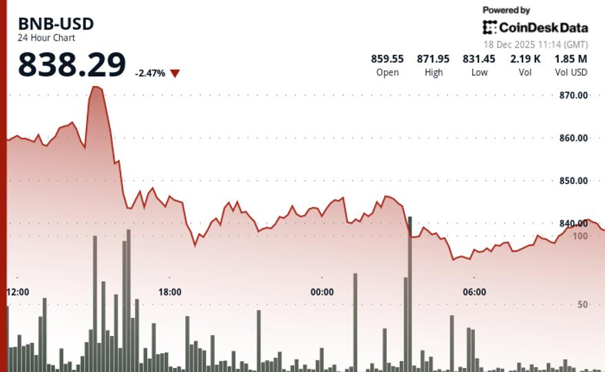 BNB сохраняет четвертое место на крипторынке, несмотря на снижение стоимости и растущее давление на продажу