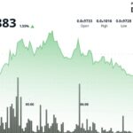 BONK augmente de 1,1 % à 0,00000988 $ alors que le trading se maintient au-dessus du support clé