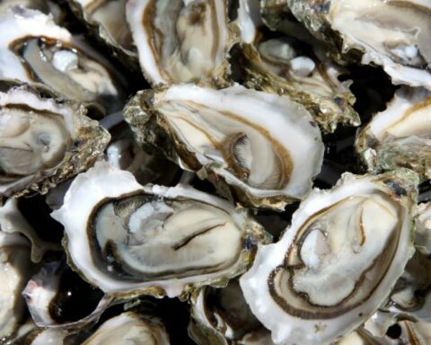 Cinq bonnes raisons d'apprécier les huîtres pendant les fêtes de fin d'année