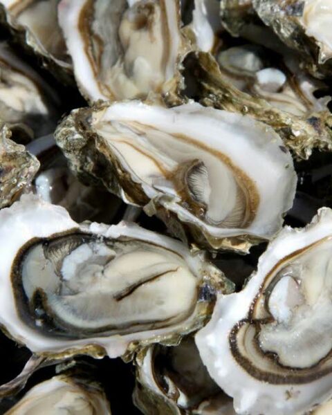 Cinq bonnes raisons d'apprécier les huîtres pendant les fêtes de fin d'année