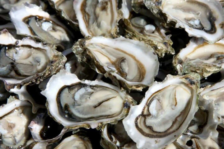 Cinq bonnes raisons d'apprécier les huîtres pendant les fêtes de fin d'année