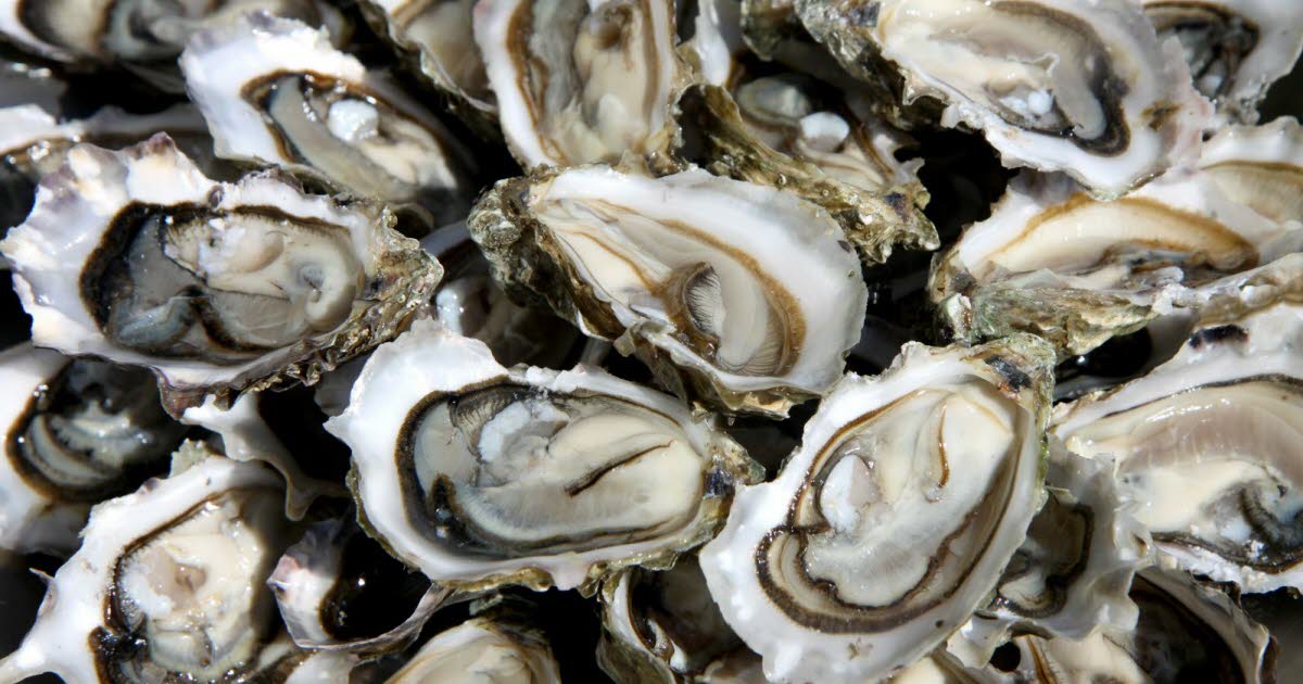 Cinq bonnes raisons d'apprécier les huîtres pendant les fêtes de fin d'année