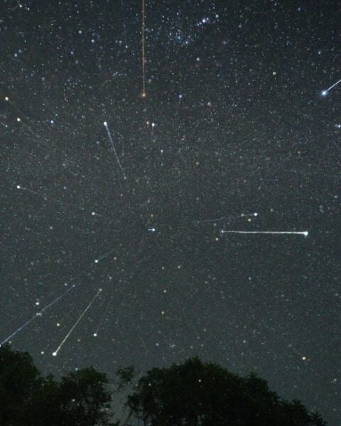 Comment observer les Géminides, extraordinaire pluie d’étoiles filantes ce week-end
