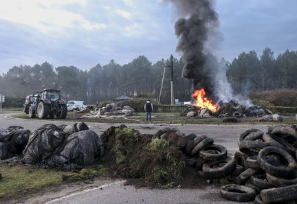 Dermatose nodulaire contagieuse : la défiance des éleveurs envers l'État s'aggrave dans un climat de violence