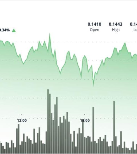 Dogecoin maintient un support à 0,14 $ alors que l'activité réseau atteint un sommet de trois mois