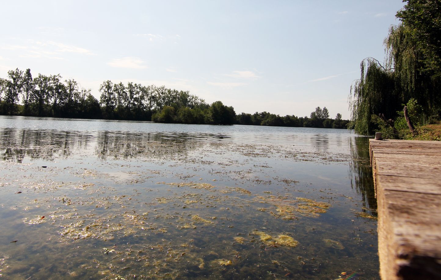 En Bretagne, la FNSEA proteste contre le vote du schéma de gestion des eaux de la Vilaine