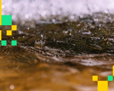 La chute du bitcoin et des actions liées à l'IA efface plus de 584 millions de dollars en positions longues