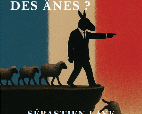 La technocratie française et ses conséquences sur l'impasse nationale.