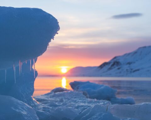 L'Arctique enregistre sa température la plus élevée jamais constatée, alerte la NOAA