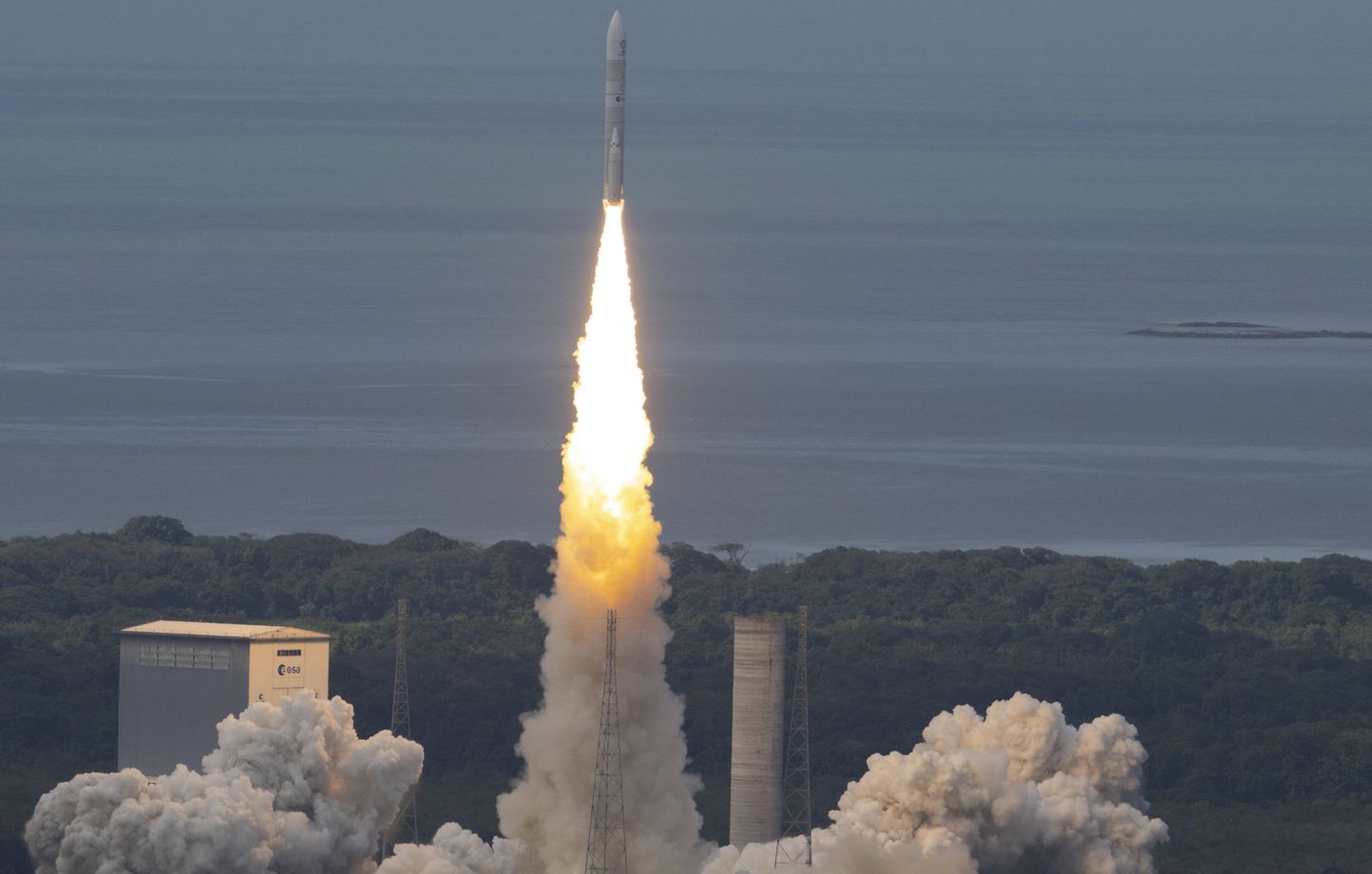 Le Cnes reconnu coupable de destruction d'espèces protégées en Guyane