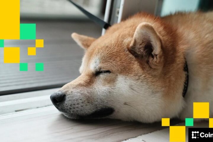 Le prix des dogecoins dogecoin et shiba inu recule dans un marché de liquidités mince durant les fêtes