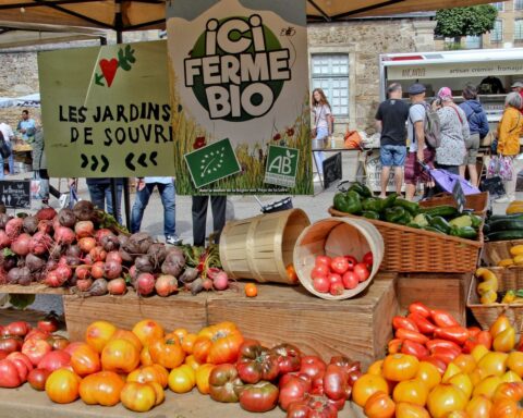 Le Sénat approuve une augmentation du crédit d'impôt pour l'agriculture biologique à 6.000 euros