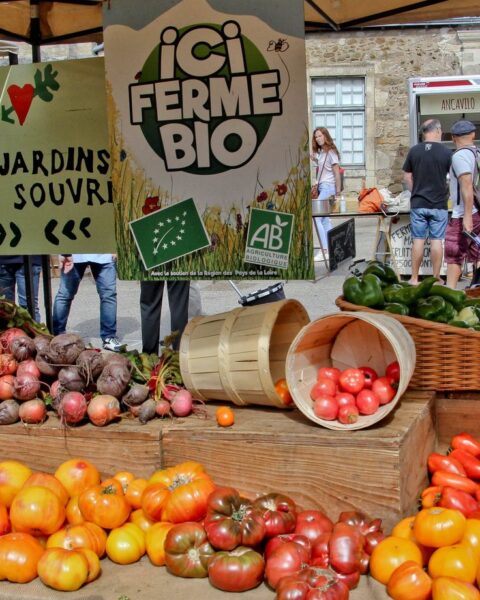 Le Sénat approuve une augmentation du crédit d'impôt pour l'agriculture biologique à 6.000 euros