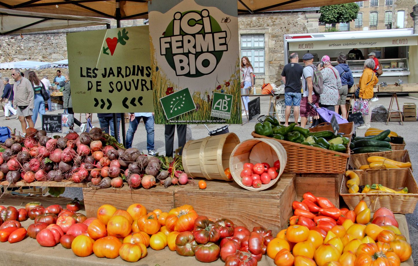 Le Sénat approuve une augmentation du crédit d'impôt pour l'agriculture biologique à 6.000 euros