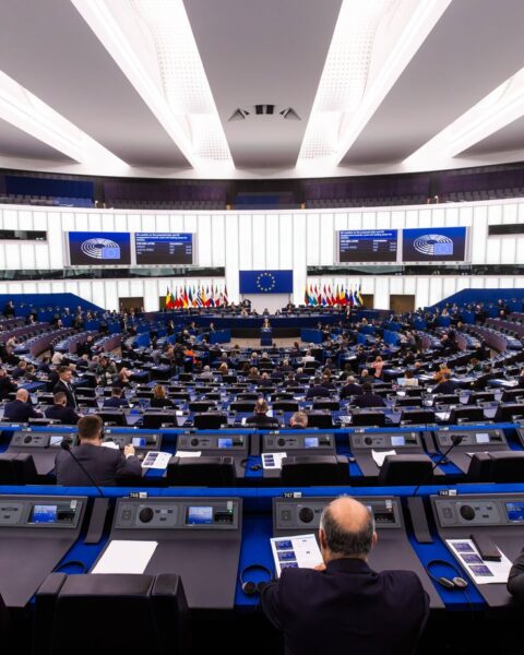 Le traité UE-Mercosur pourrait-il autoriser l'importation de viande aux hormones et de produits chimiques interdits ?