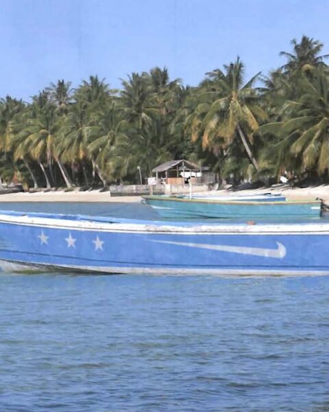 Les Îles Marshall lancent un programme de revenu universel de 200 dollars, mais la majorité opte pour le virement bancaire