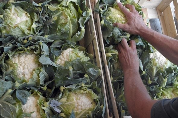 Les producteurs de chou-fleur en Bretagne lancent un appel à l'aide face à la crise de surproduction